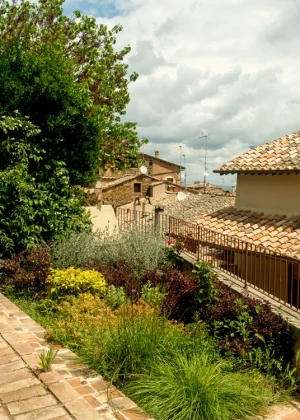 WPR_montalcino_550X750 02